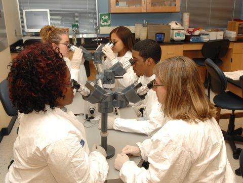 Health Sciences Students Classroom